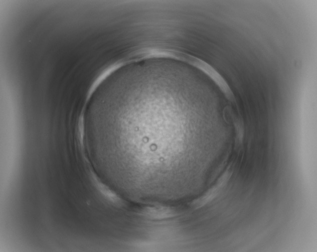 X0000113331198200909281221
