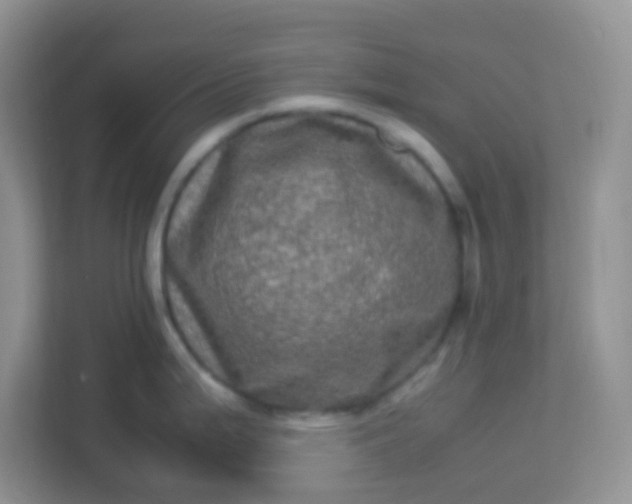 X0000113331199200909281221