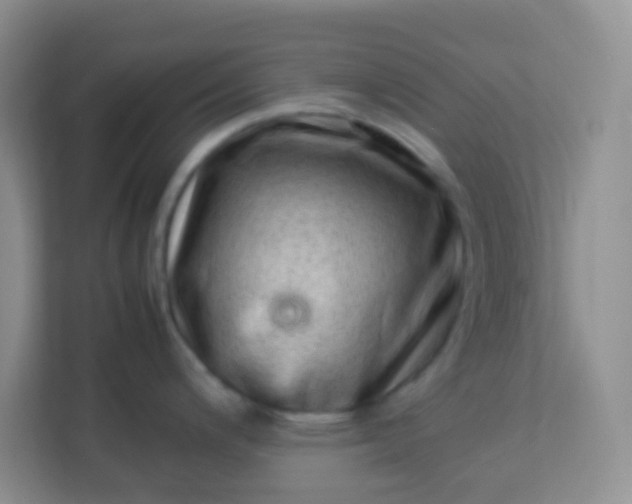 X0000113331200200909281221