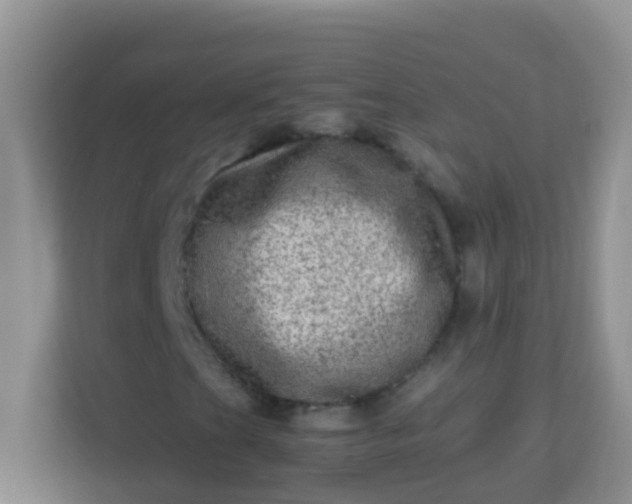 X0000113331201200909281221