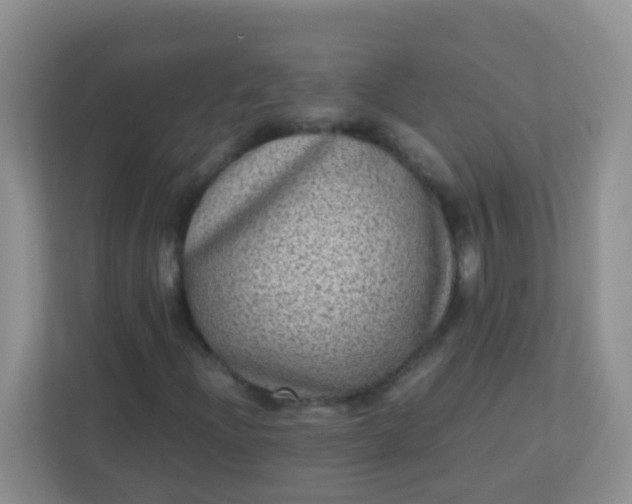 X0000113331204200909281221