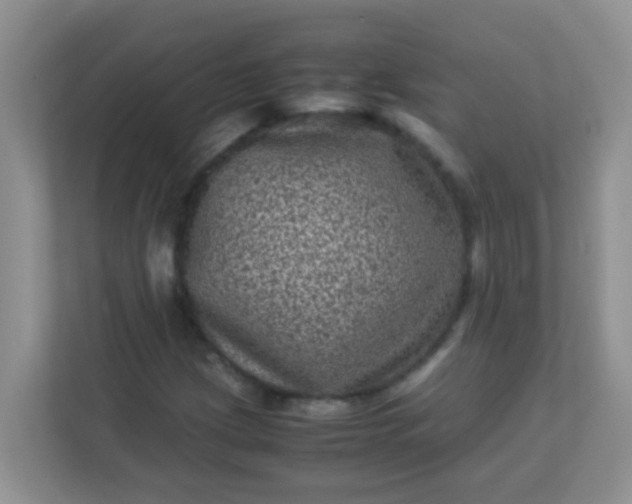 X0000113331209200909281221