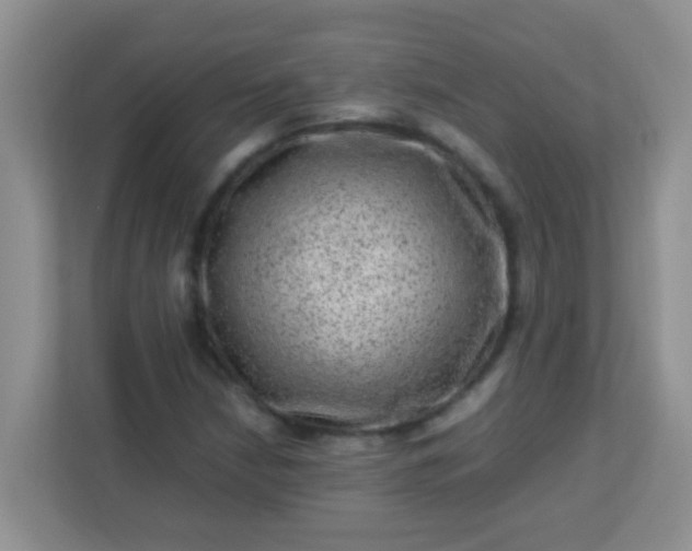 X0000113331210200909281221