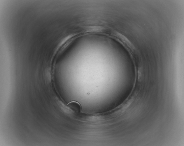 X0000113331212200909281221