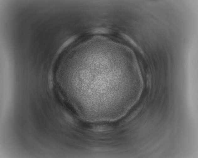 X0000113331213200909281221