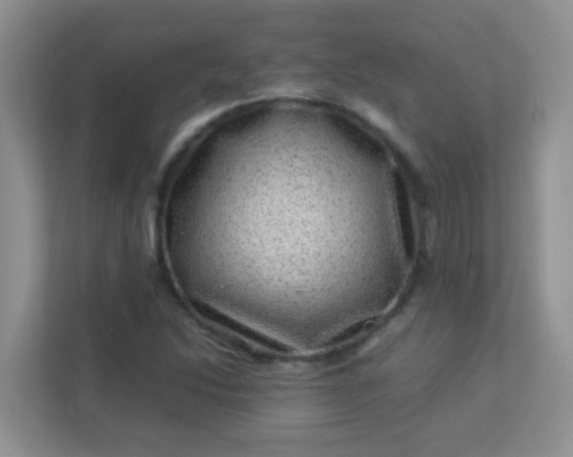 X0000113331214200909281221