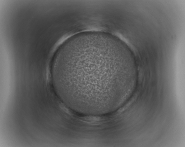 X0000113331215200909281221