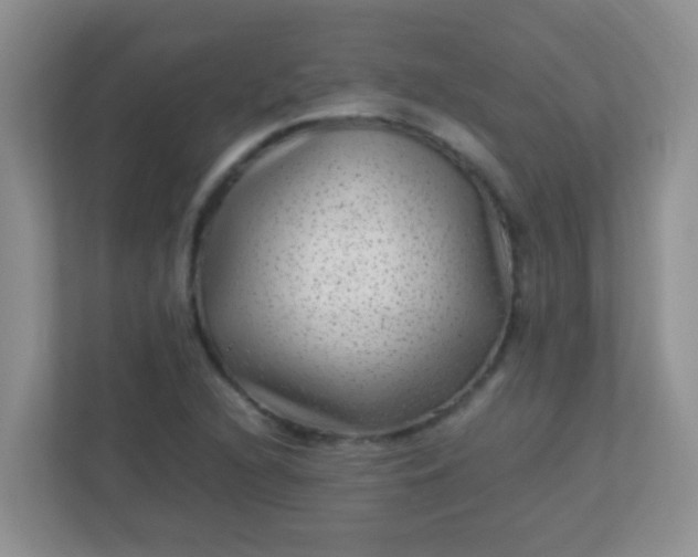 X0000113331216200909281221