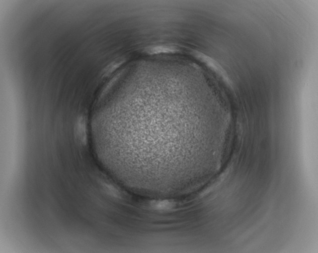 X0000113331217200909281221
