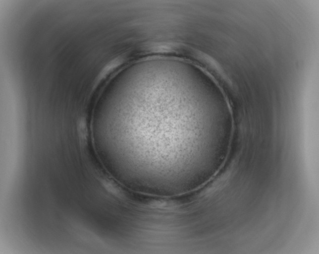 X0000113331218200909281221