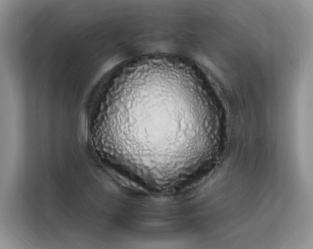 X0000113331219200909281221