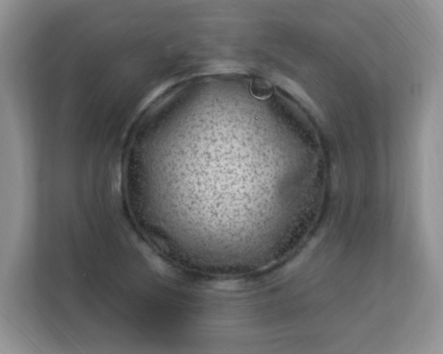 X0000113331220200909281221