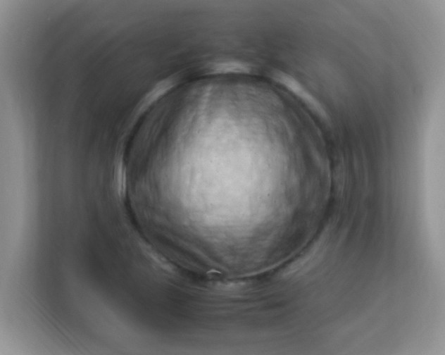 X0000113331221200909281221