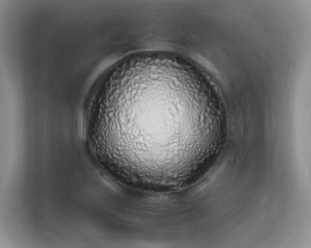 X0000113331223200909281221