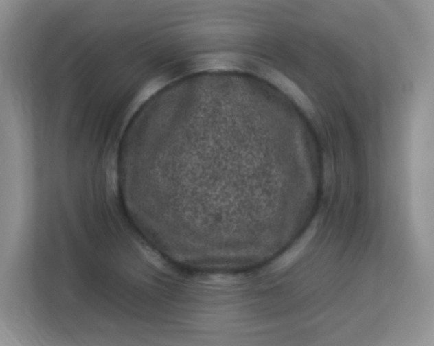 X0000113331226200909281221