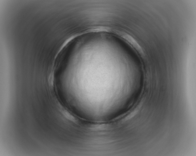 X0000113331228200909281221