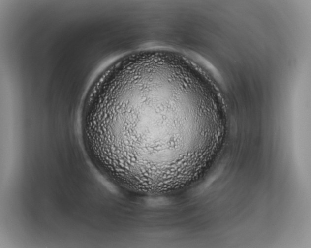 X0000113331231200909281221