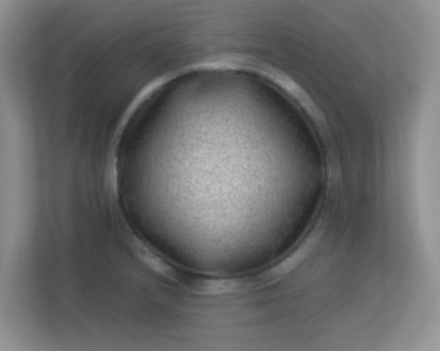 X0000113331232200909281221