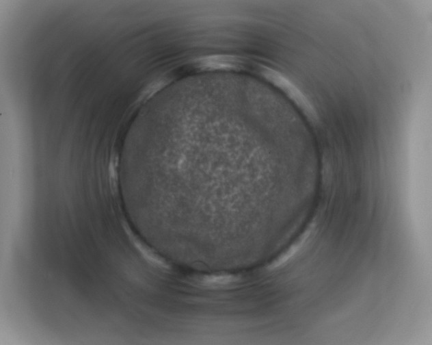 X0000113331233200909281221