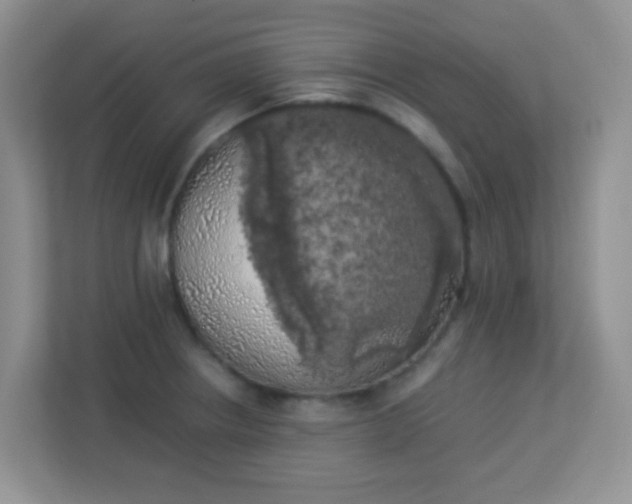 X0000113331234200909281221