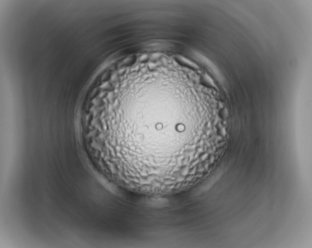 X0000113331235200909281221