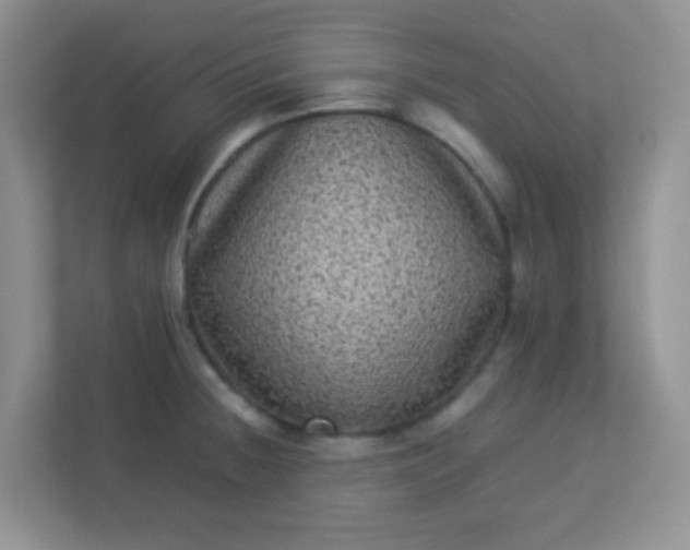 X0000113331236200909281221