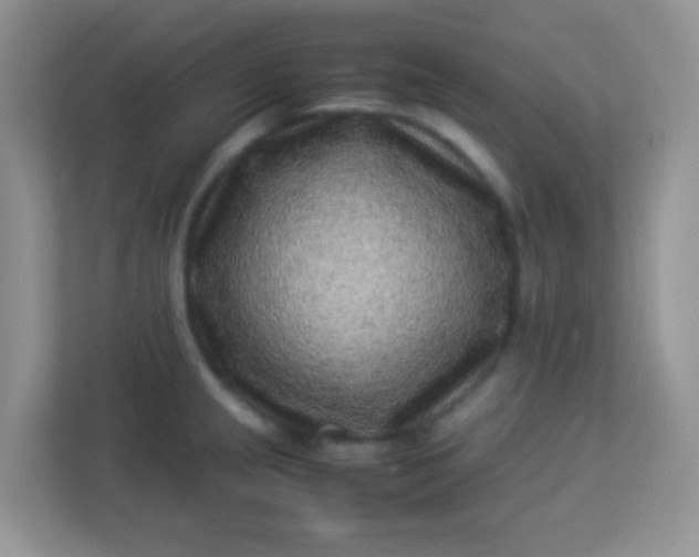 X0000113331237200909281221