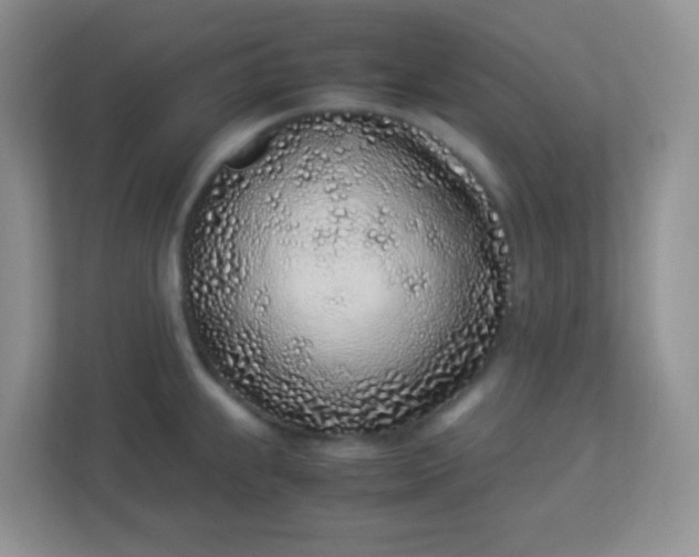 X0000113331239200909281221