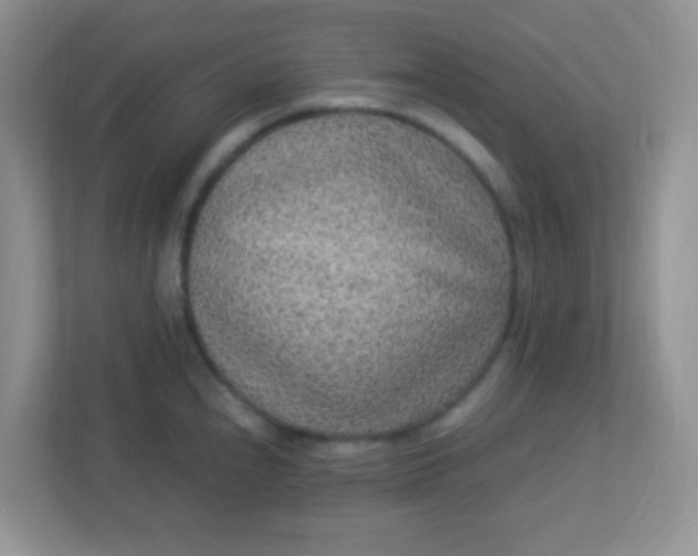 X0000113331240200909281221