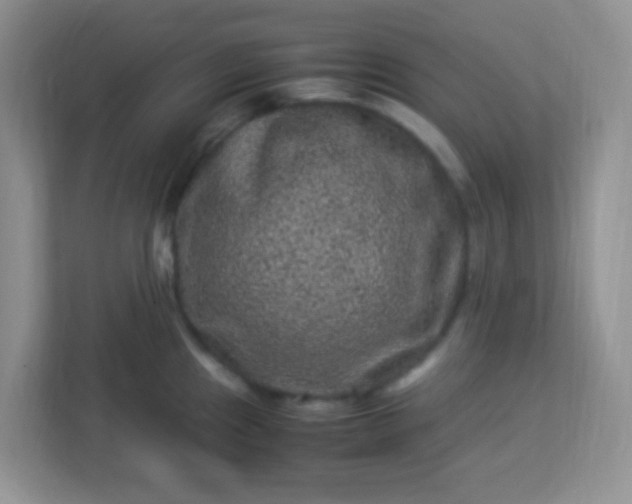 X0000113331241200909281221
