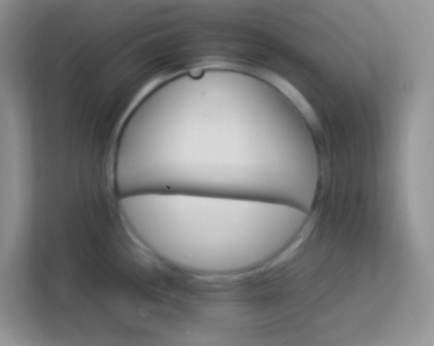 X0000113331244200909281221