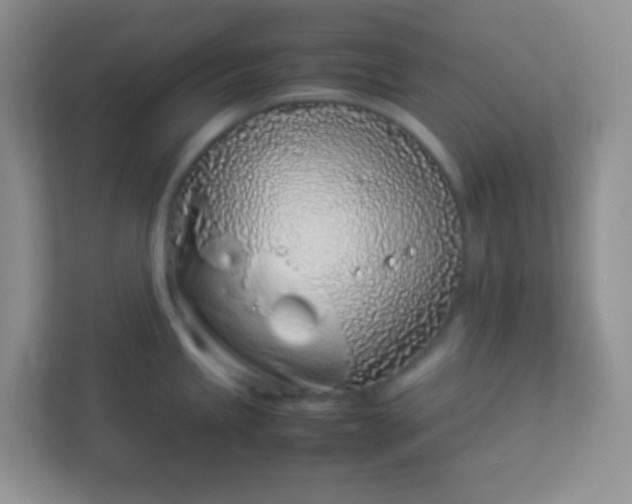 X0000113331245200909281221