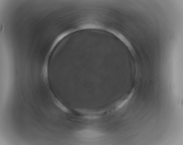 X0000113331246200909281221