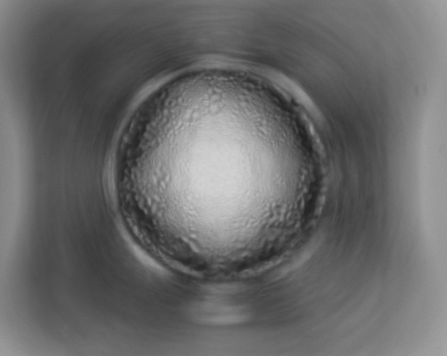 X0000113331247200909281221