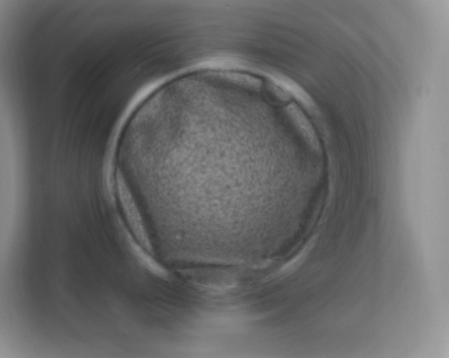 X0000113331248200909281221