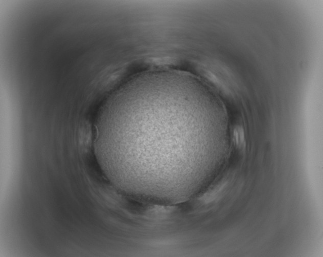 X0000113331251200909281220