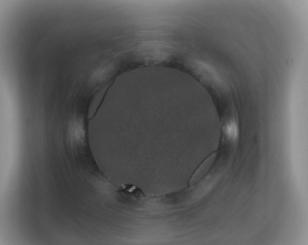 X0000113331252200909281220