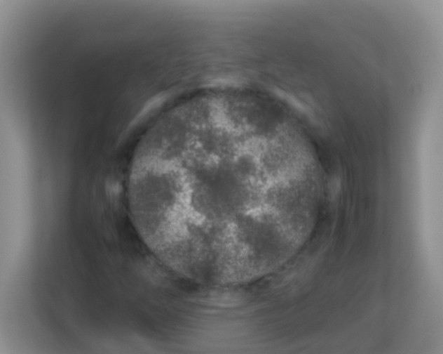 X0000113331254200909281220