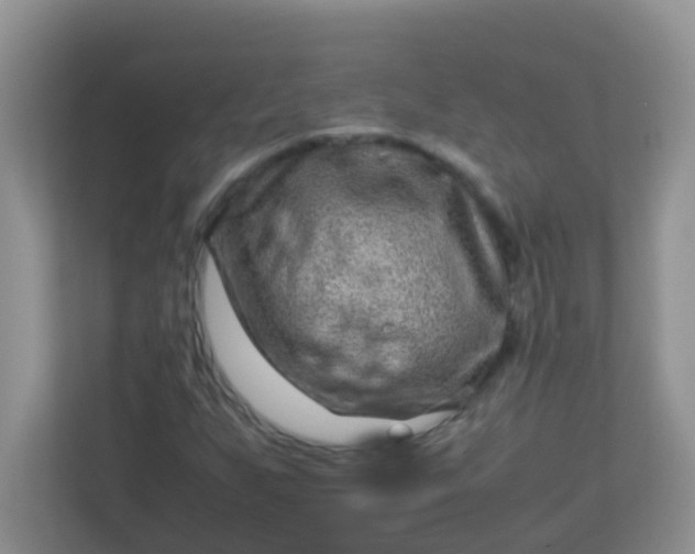 X0000113331255200909281220