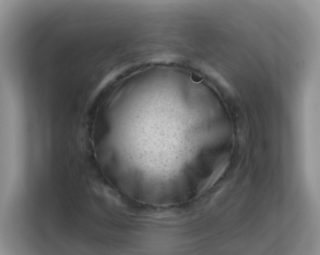 X0000113331256200909281220