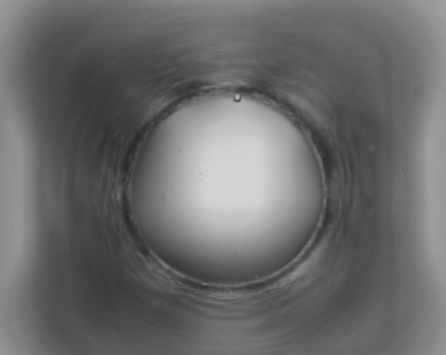 X0000113331257200909281220