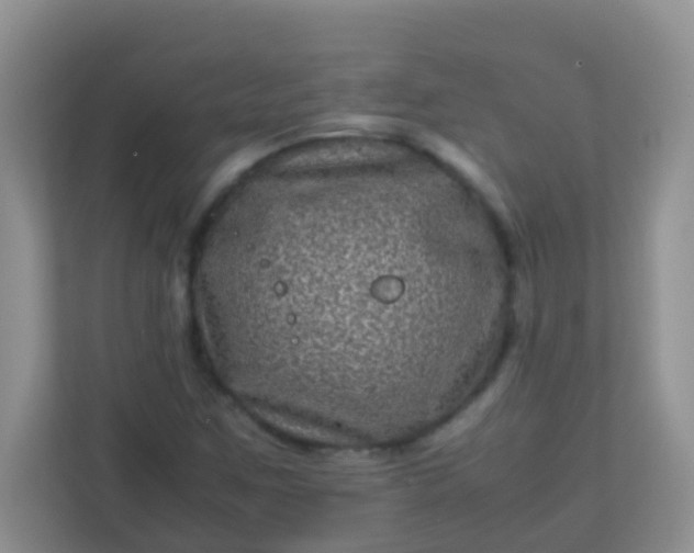 X0000113331259200909281220