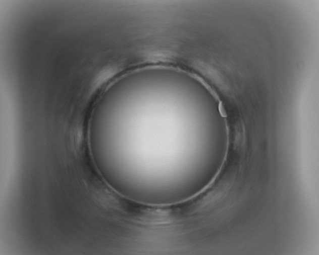 X0000113331261200909281220