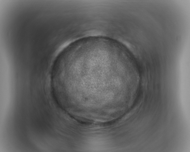 X0000113331263200909281220