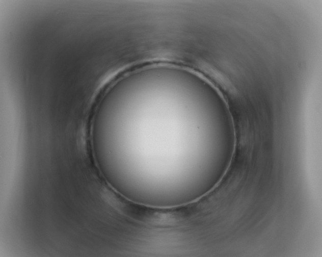 X0000113331264200909281220
