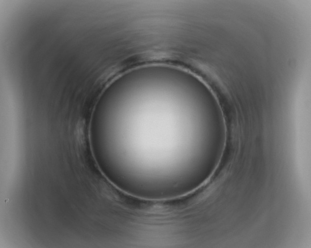 X0000113331265200909281220
