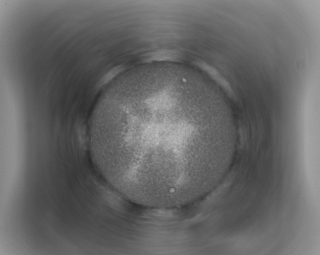 X0000113331266200909281220