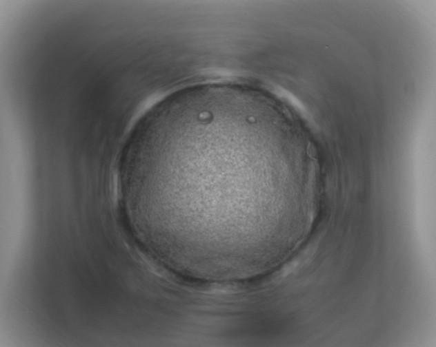 X0000113331267200909281220