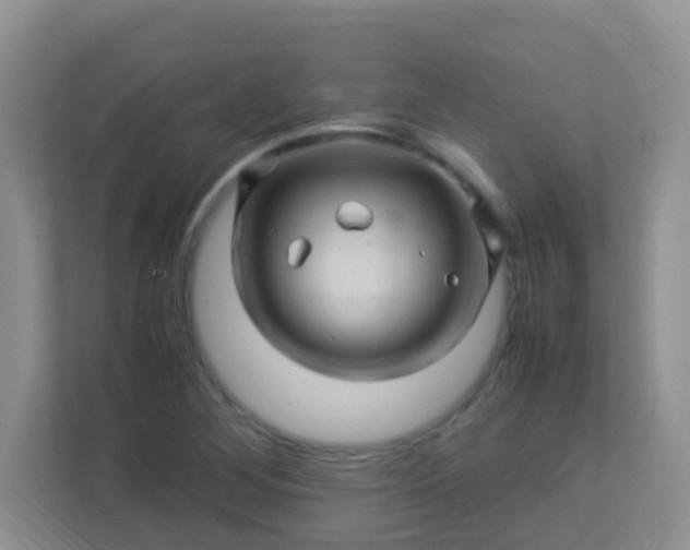 X0000113331268200909281220