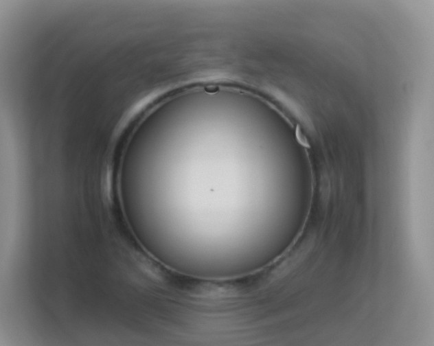 X0000113331270200909281220